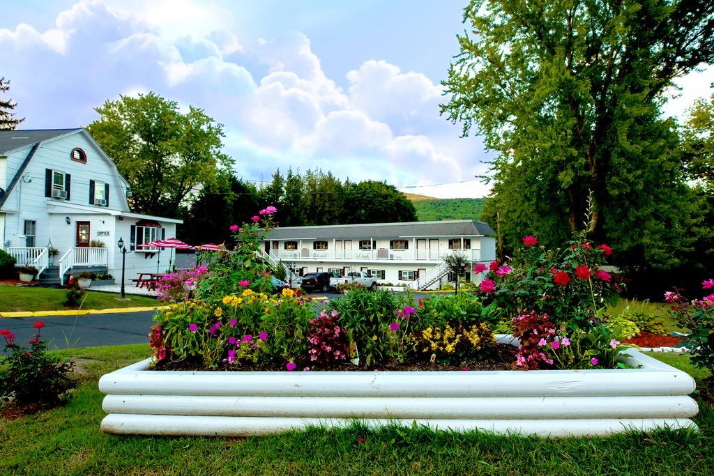 Willows Motel Williamstown Exterior photo